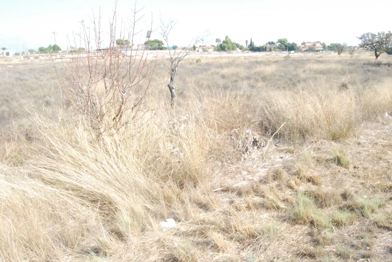 Rural land for sale in Villamontes - Boqueres, imagen 4