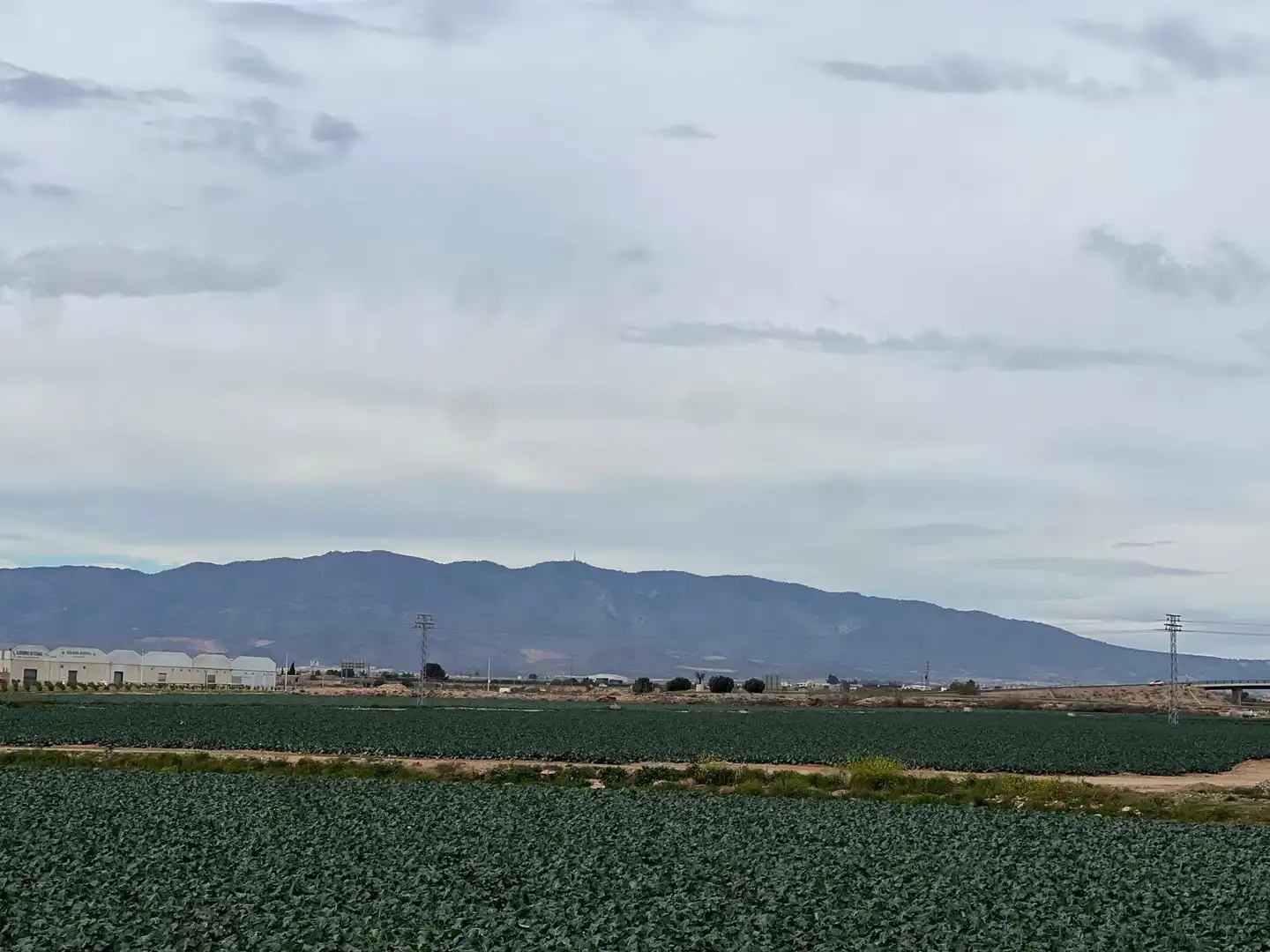 Vista exterior de Terreny industrial en venda en Fuente Álamo de Murcia