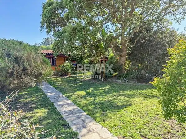 Casa con jardín en venta en Avenida Paseo Portugal, imagen 31