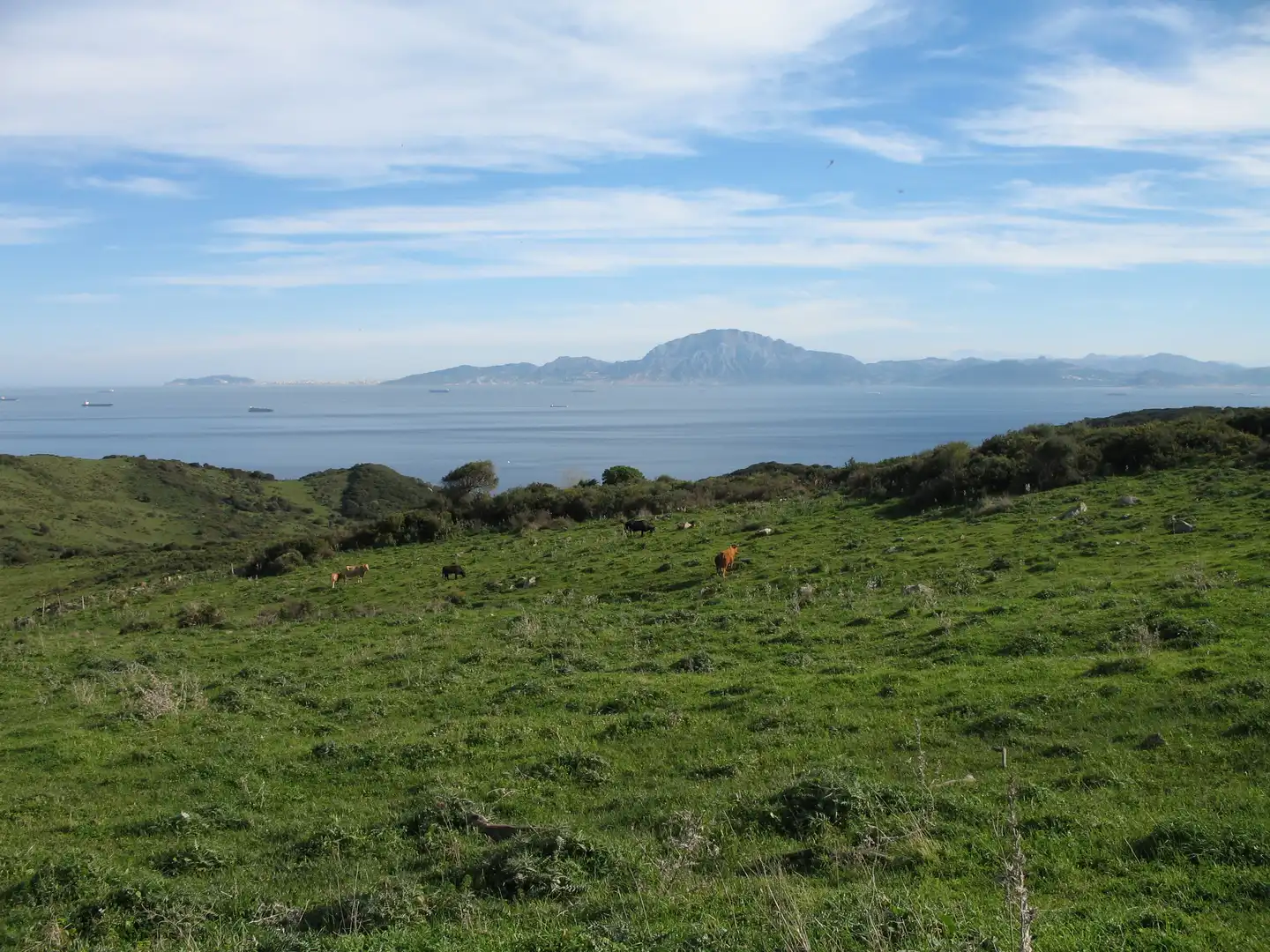 Rustikales Grundstück zum Verkauf in Puerto El Bujeo