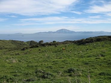 Terreno rustico in vendita a Puerto El Bujeo