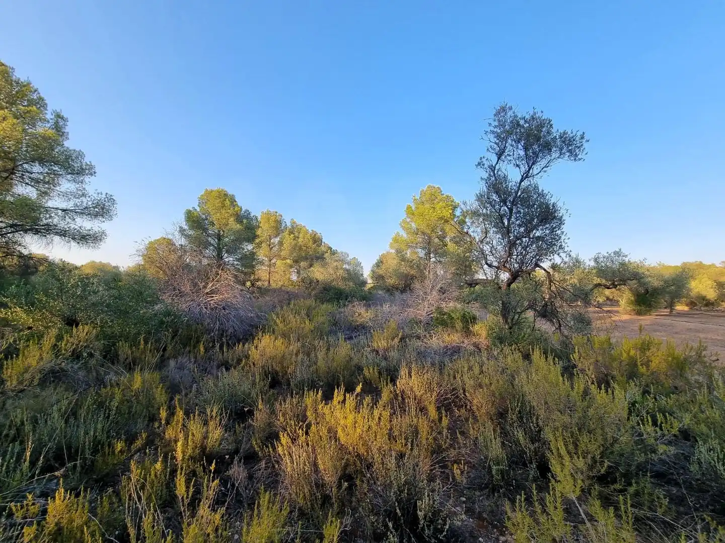 Residencial en venta en Tivissa