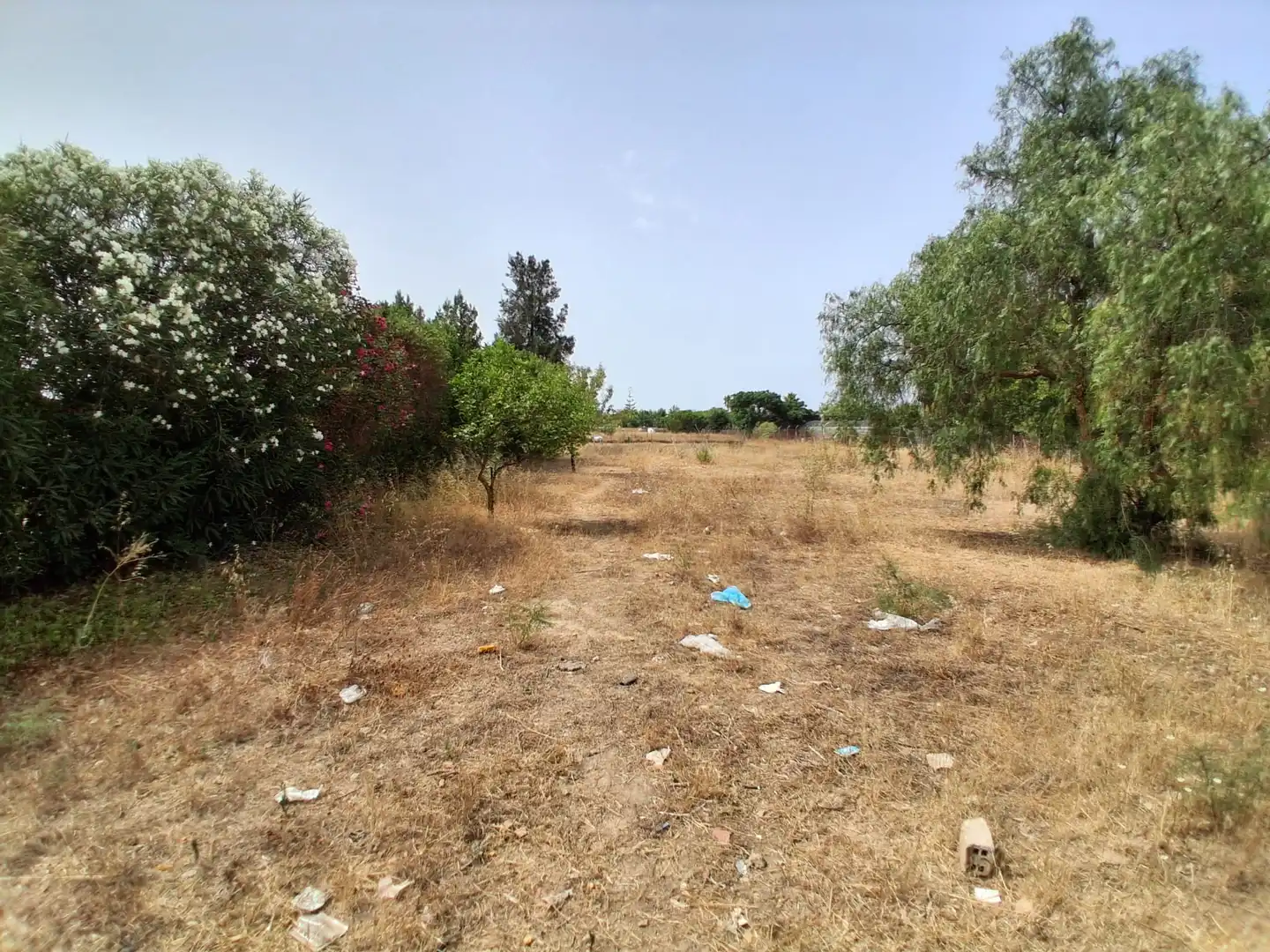 Residential land for sale in Pinar de la villa, imagen 9