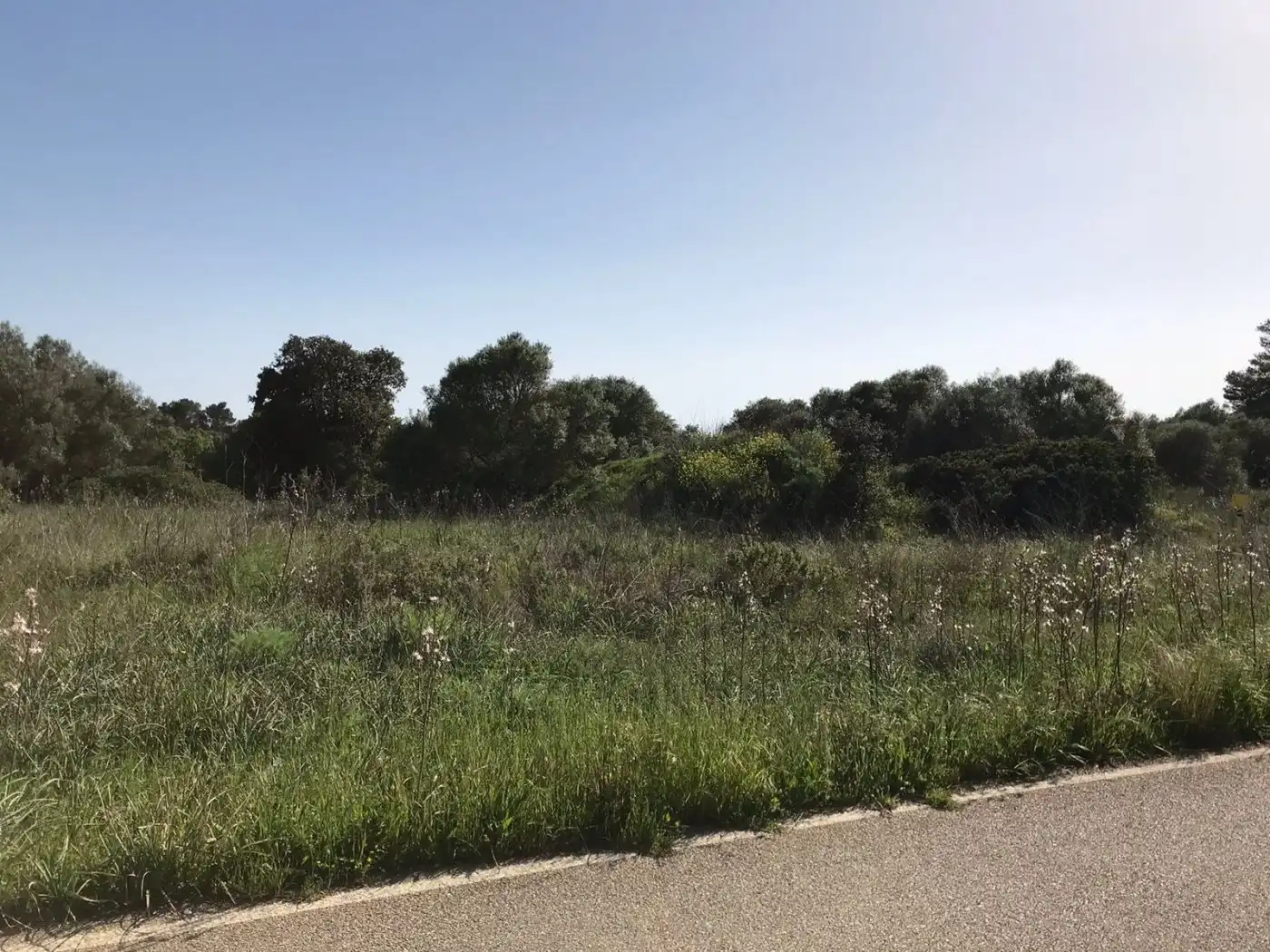 Terrenys i solars en venda a Algaida, imagen 6