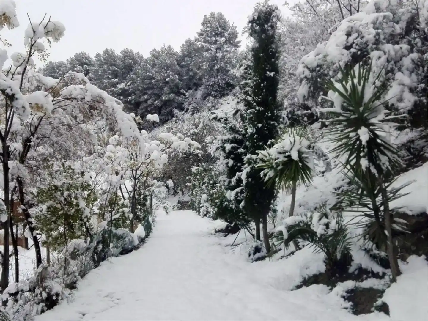 Jardí de Pis en venda en El Burgo amb Jardí privat, Parquet i Traster