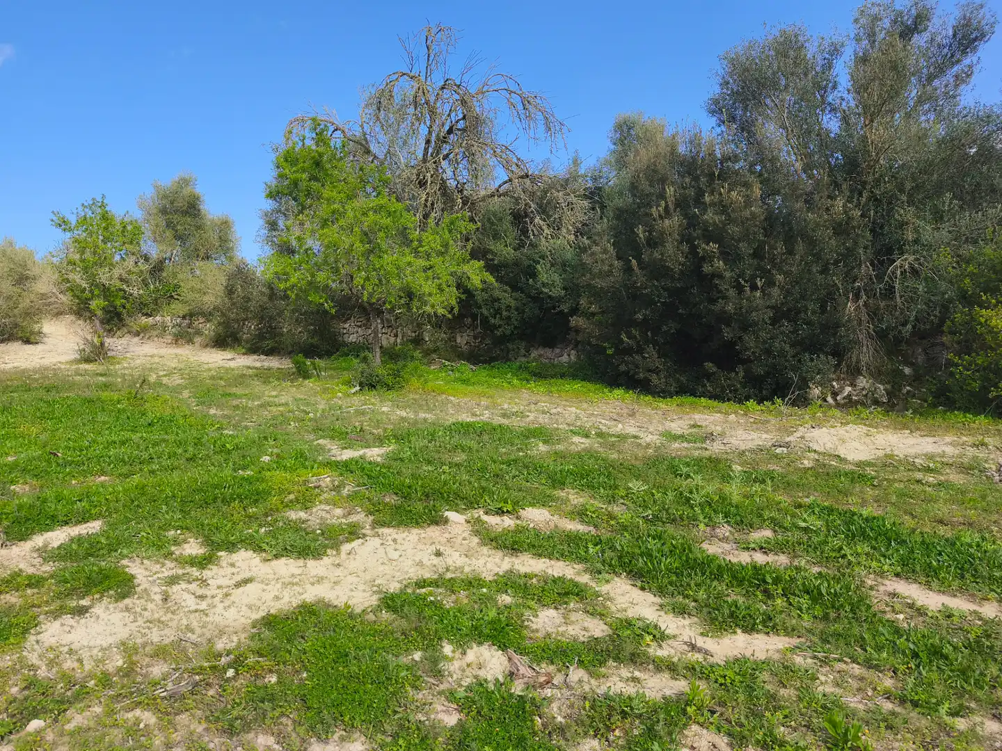 Terreno rustico in vendita a Sant Joan, imagen 2