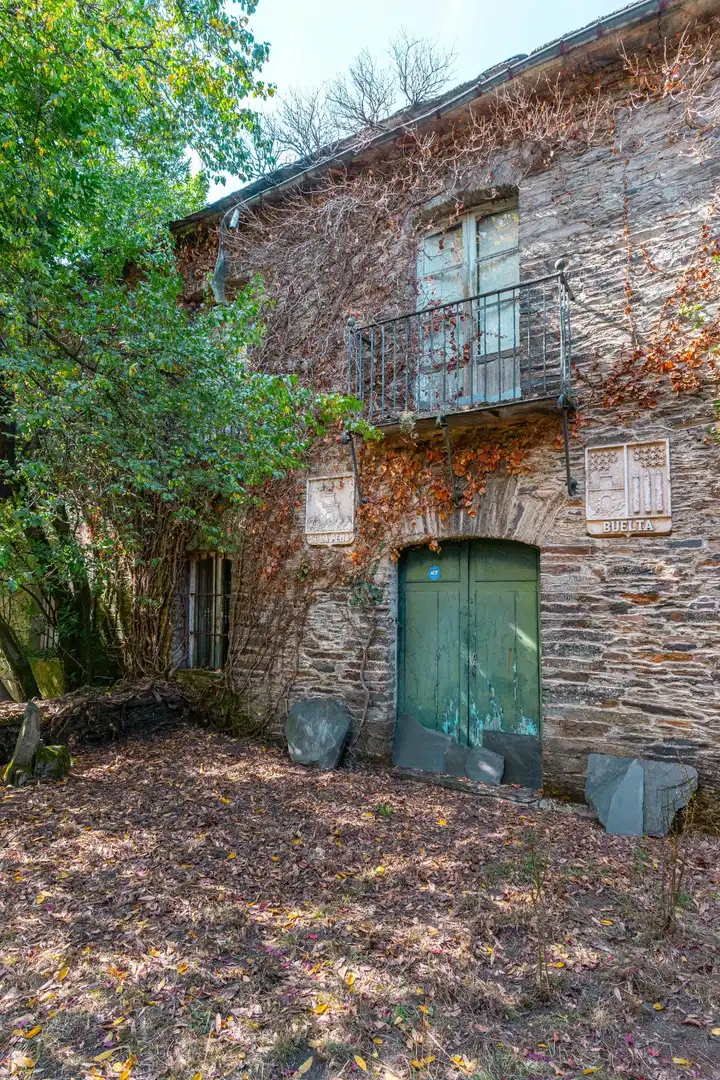Vista exterior de Casa o chalet en venta en Palacios del Sil con Jardín privado