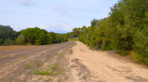 Finca con proyecto  básico  aprobado para una vivienda en Muro, immagine 2