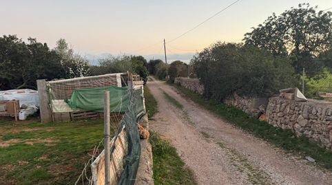 Foto 3 de Terreno en venta en Carretera Manacor-porto Cristo, Km 2., S'Illot - Cala Morlanda, Manacor