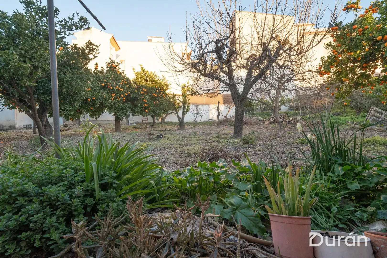 Finca rústica en venda en Alcolea amb Aire condicionat, Jardí privat i Traster