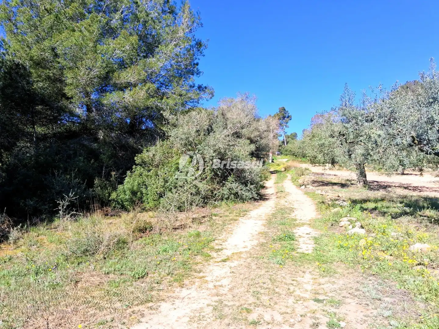 Rural land for sale in La Secuita, imagen 5