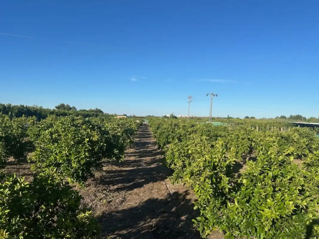 Terreno en venta en Xeresa