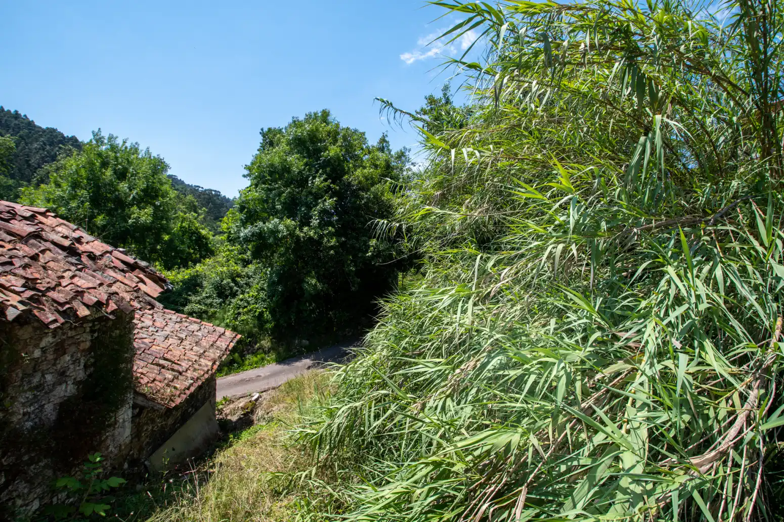 Casa a schiera in vendita a LG CONLLEDO, imagen 40
