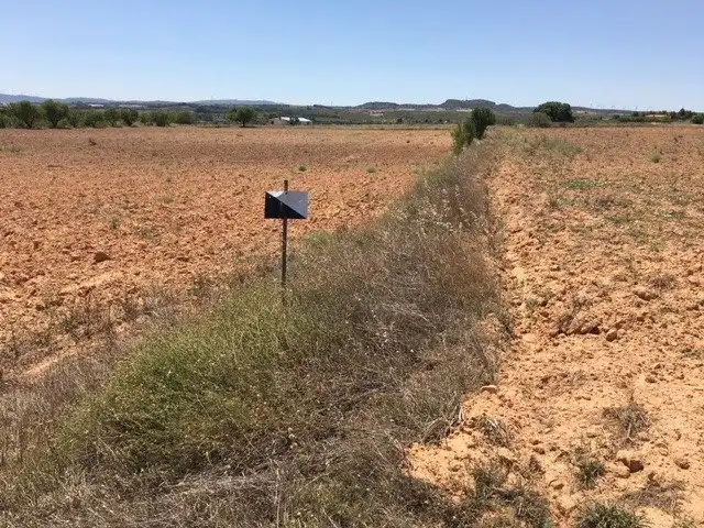 Terrain rustique à vendre à Almansa, imagen 3