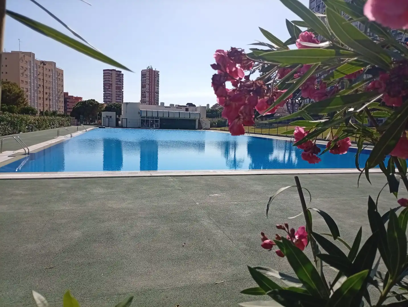 Piscina de Pis en venda en Benidorm amb Piscina, Moblat i Piscina comunitària