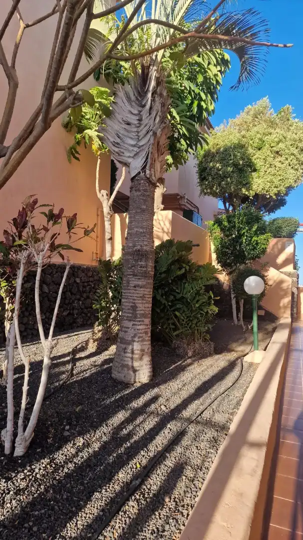 Piso con piscina en venta en Golf del Sur - Amarilla Golf, imagen 3