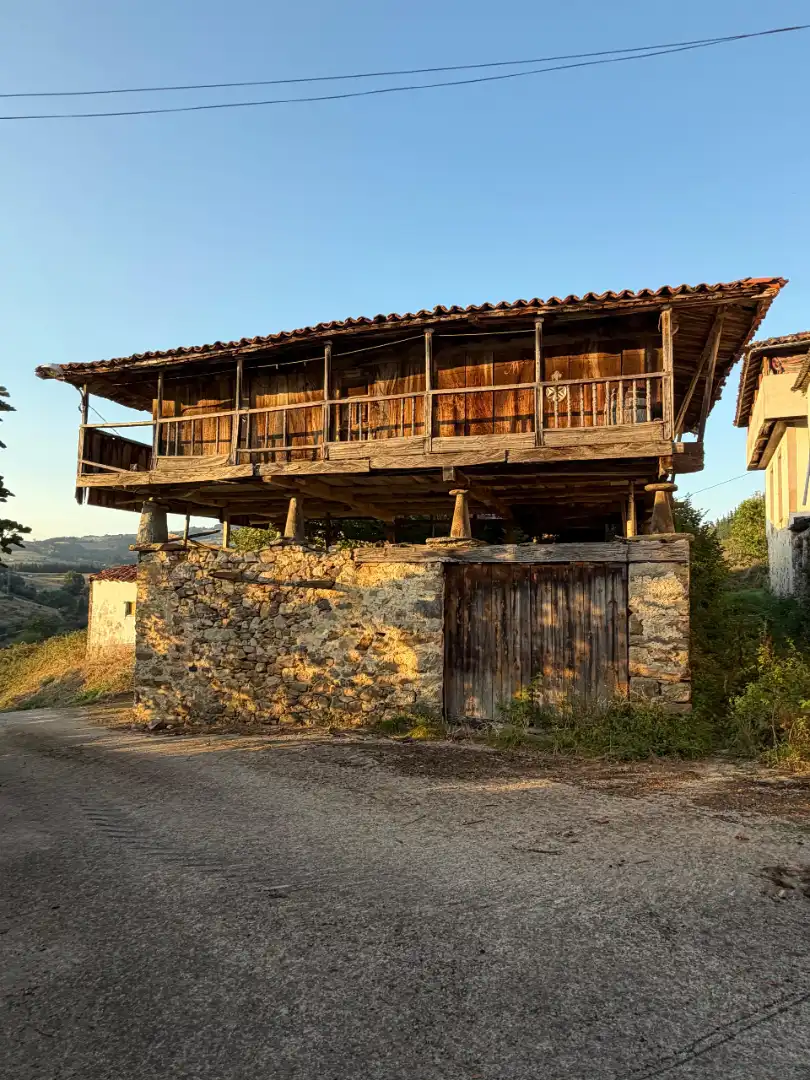 Rural land for sale in Tineo, imagen 2