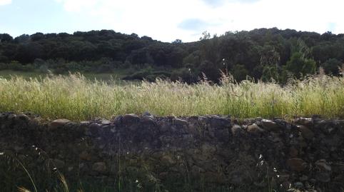Foto 2 de Terreny en venda a Belvís de la Jara, Toledo