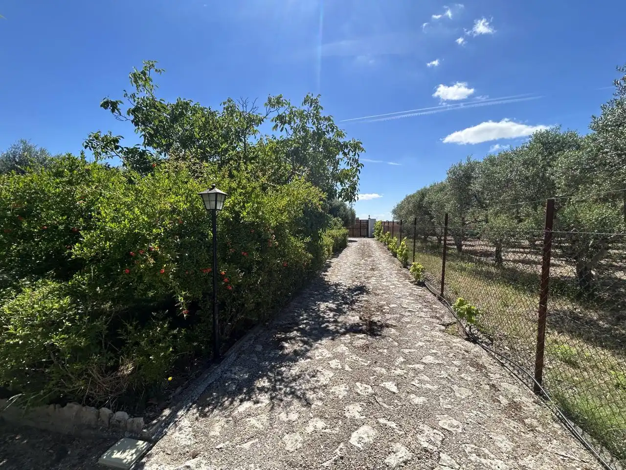 Country homes for sale in 0, Cascante