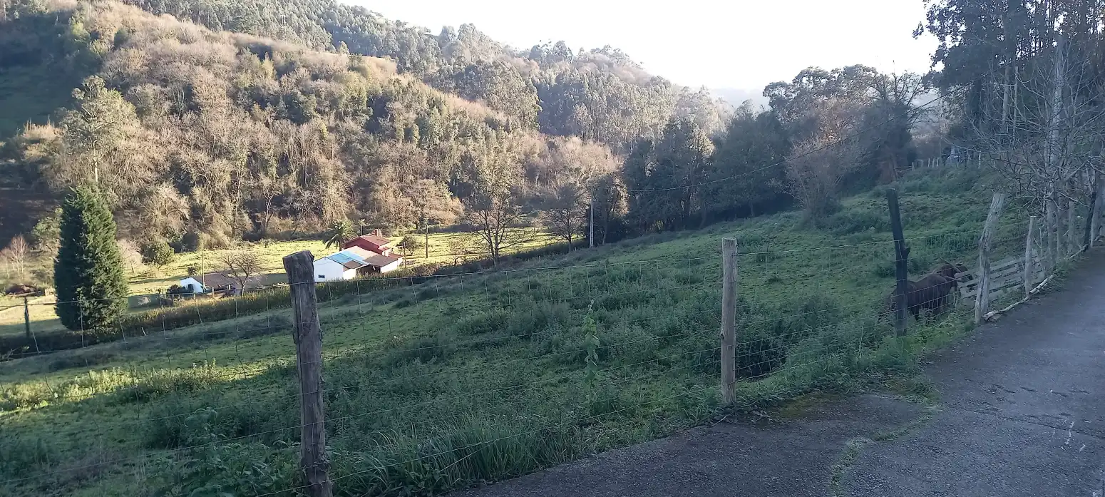 Terreno rustico in vendita a Gijón - CM BURULLINOS-LEORIO, imagen 10