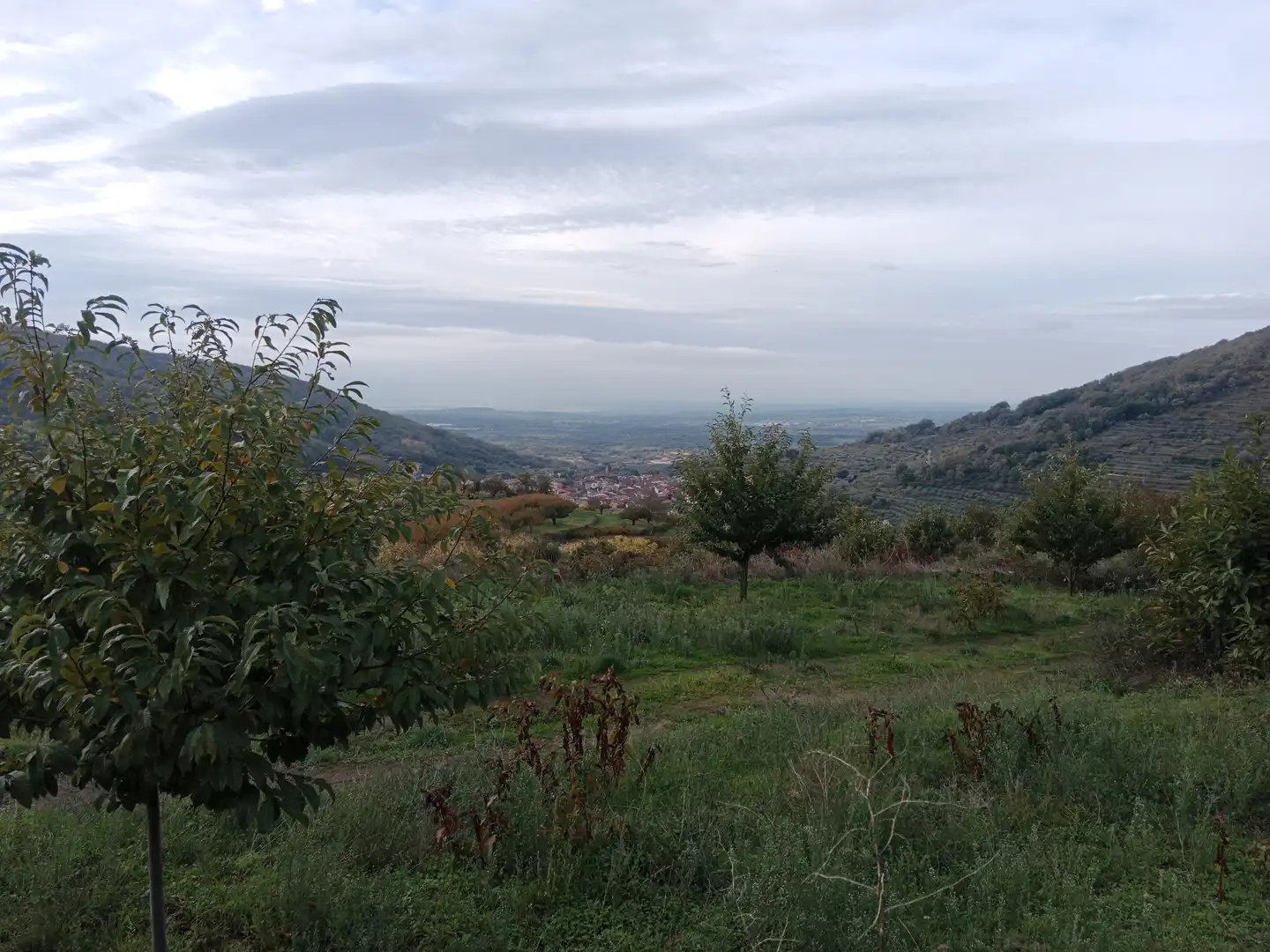 Terreni e lotti in vendita a Pasarón de la Vera, imagen 27