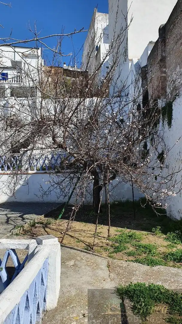 House for sale in Rute, imagen 10