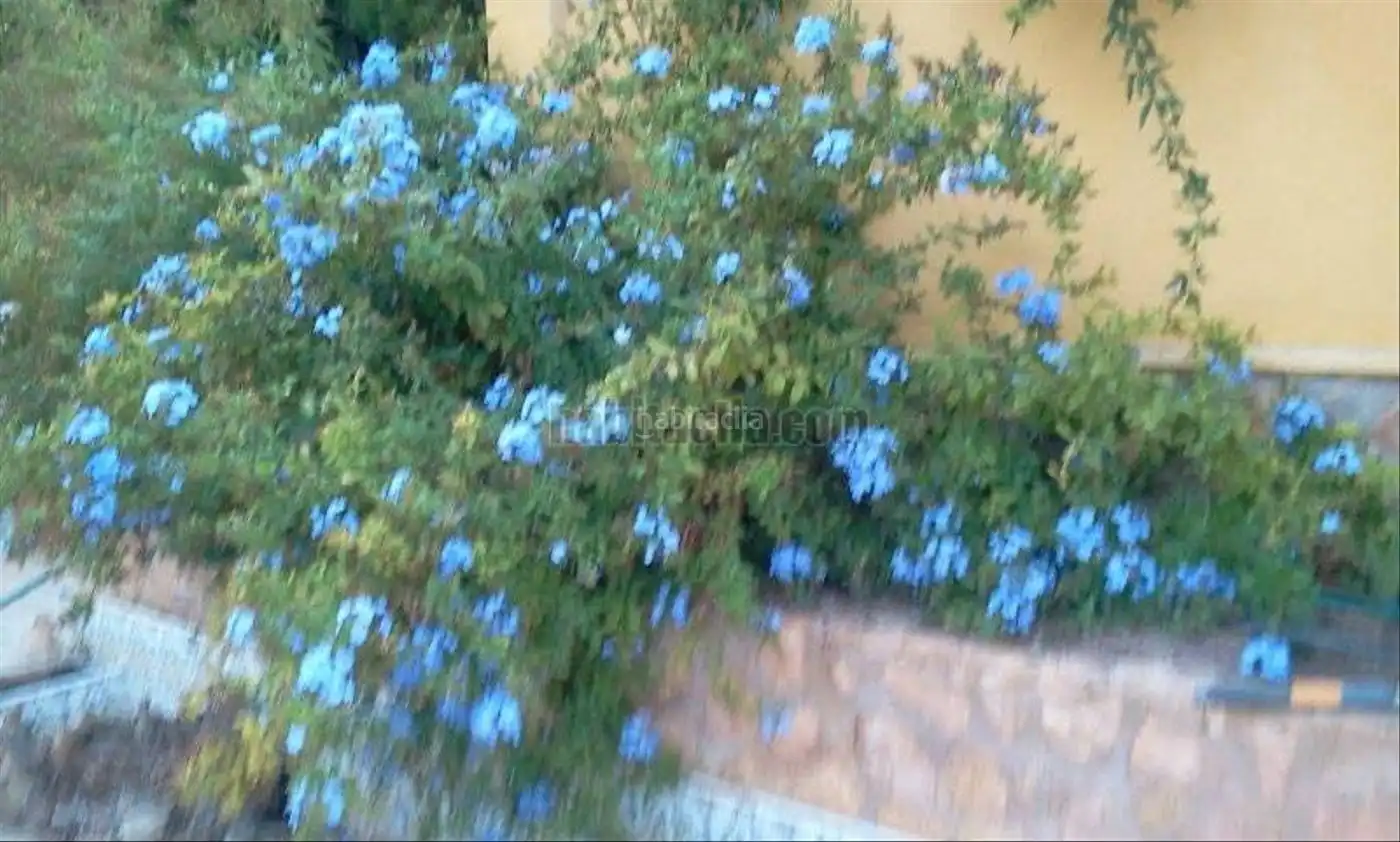 Casa amb piscina en venda a Carrer de l'Agró 20, imagen 6