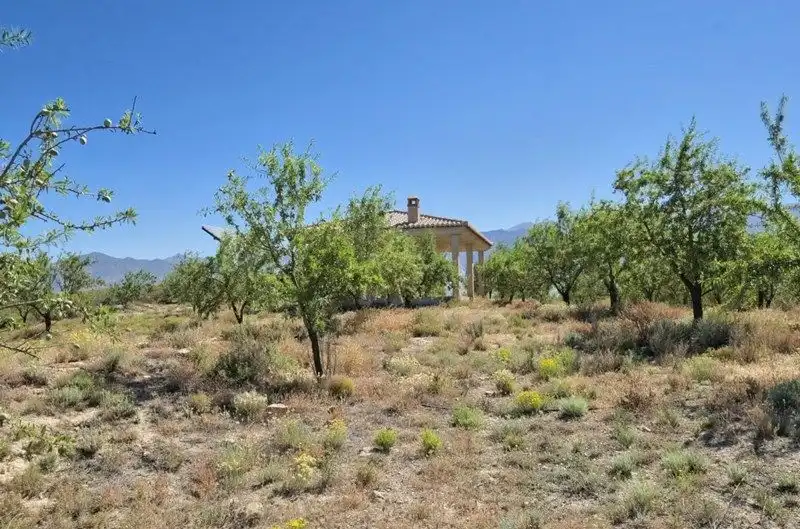 Terreny rústic en venda a Villamena, imagen 51