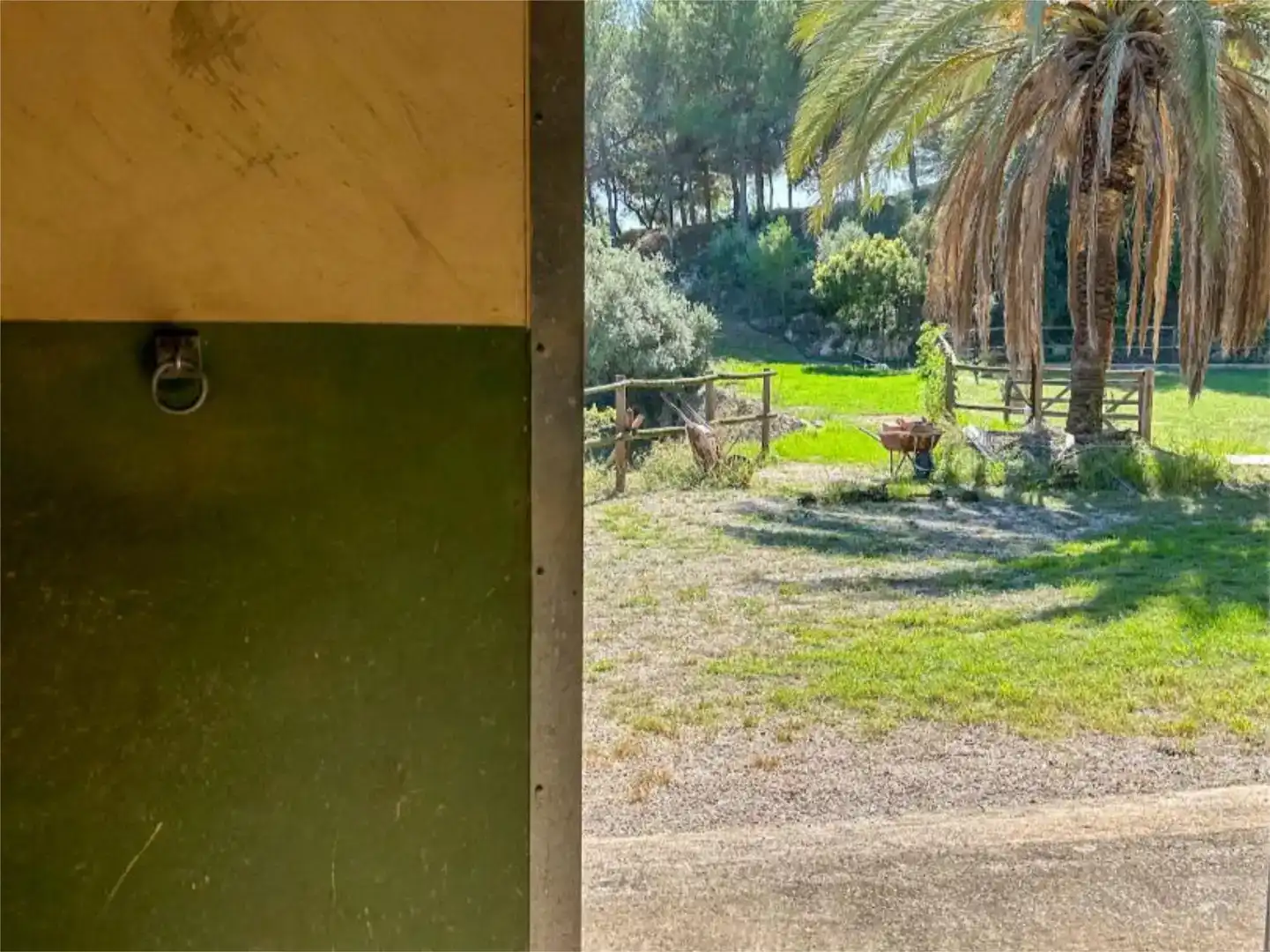 Jardín de Piso en venta en Bonastre con Jardín privado, Trastero y Piscina