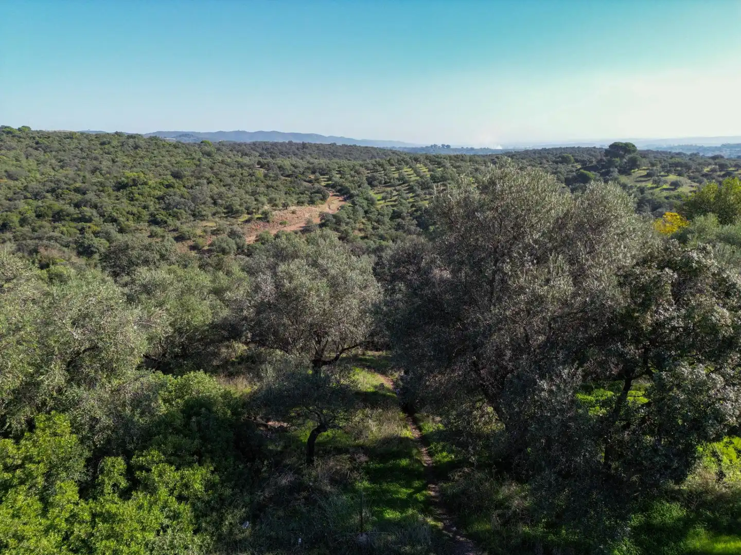 Wohnbaugrundstück zum Verkauf in Avenida san jose de calasanz, imagen 10