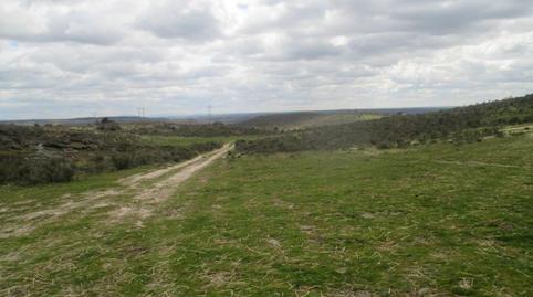 Foto 2 de Finca rústica en venda a San Felices de los Gallegos, Salamanca