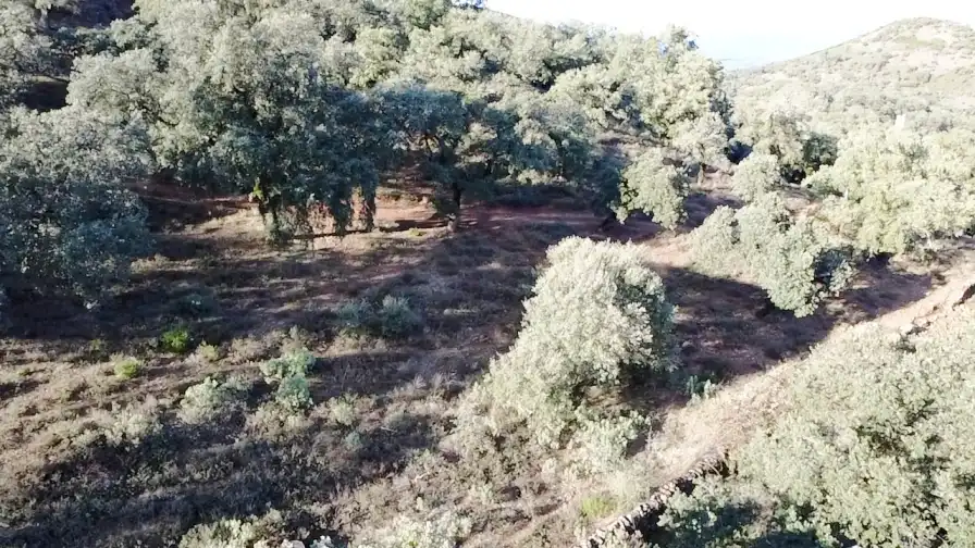 Terrenos y solares en venta en Dehesa 8, imagen 3