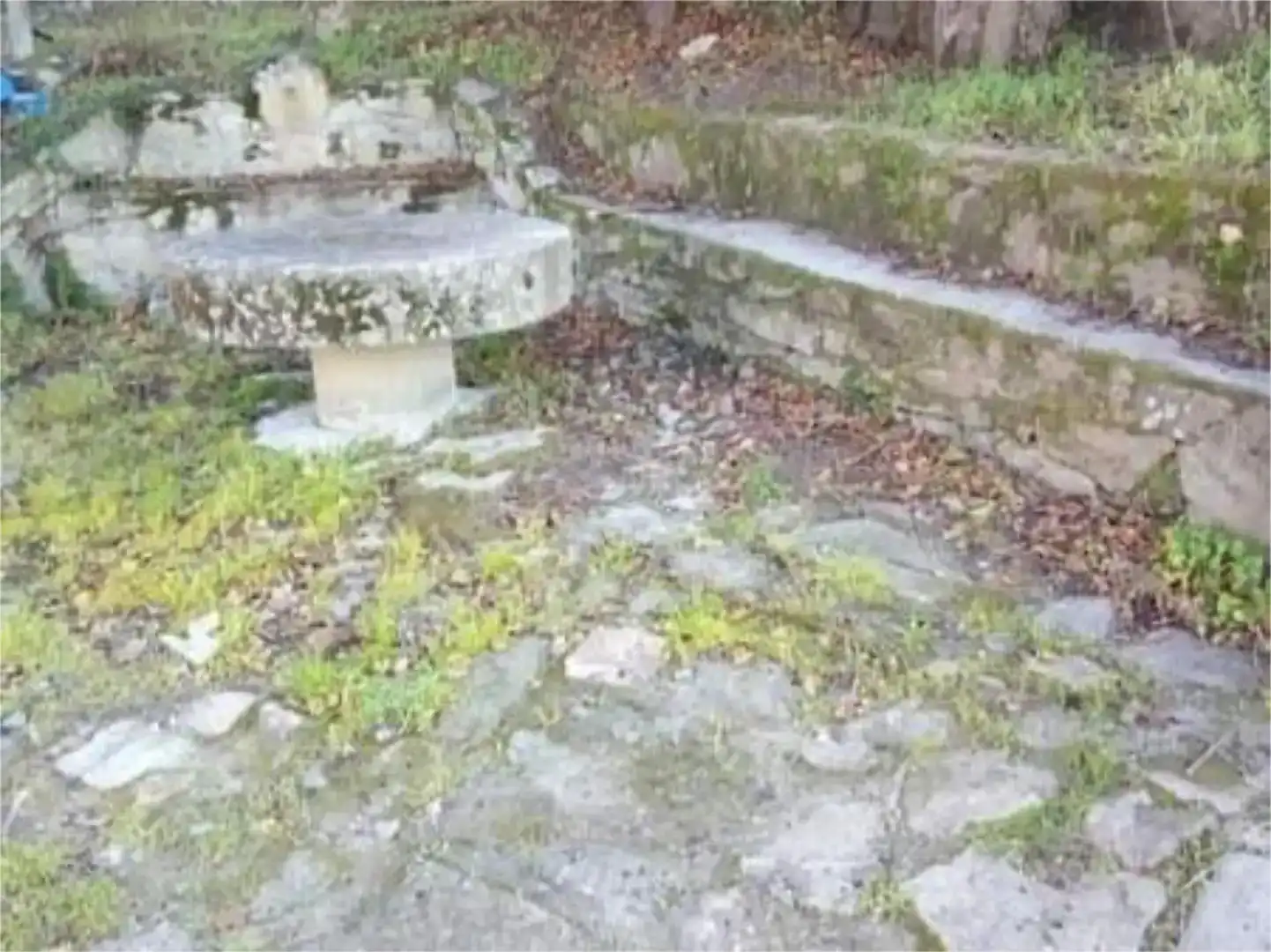 Jardí de Casa adosada en venda en Casas del Monte