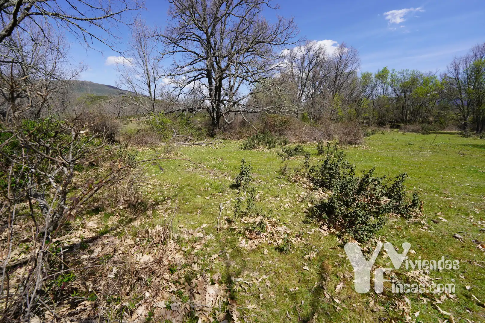 Terreno rústico en venta en Campillo de Ranas, imagen 8