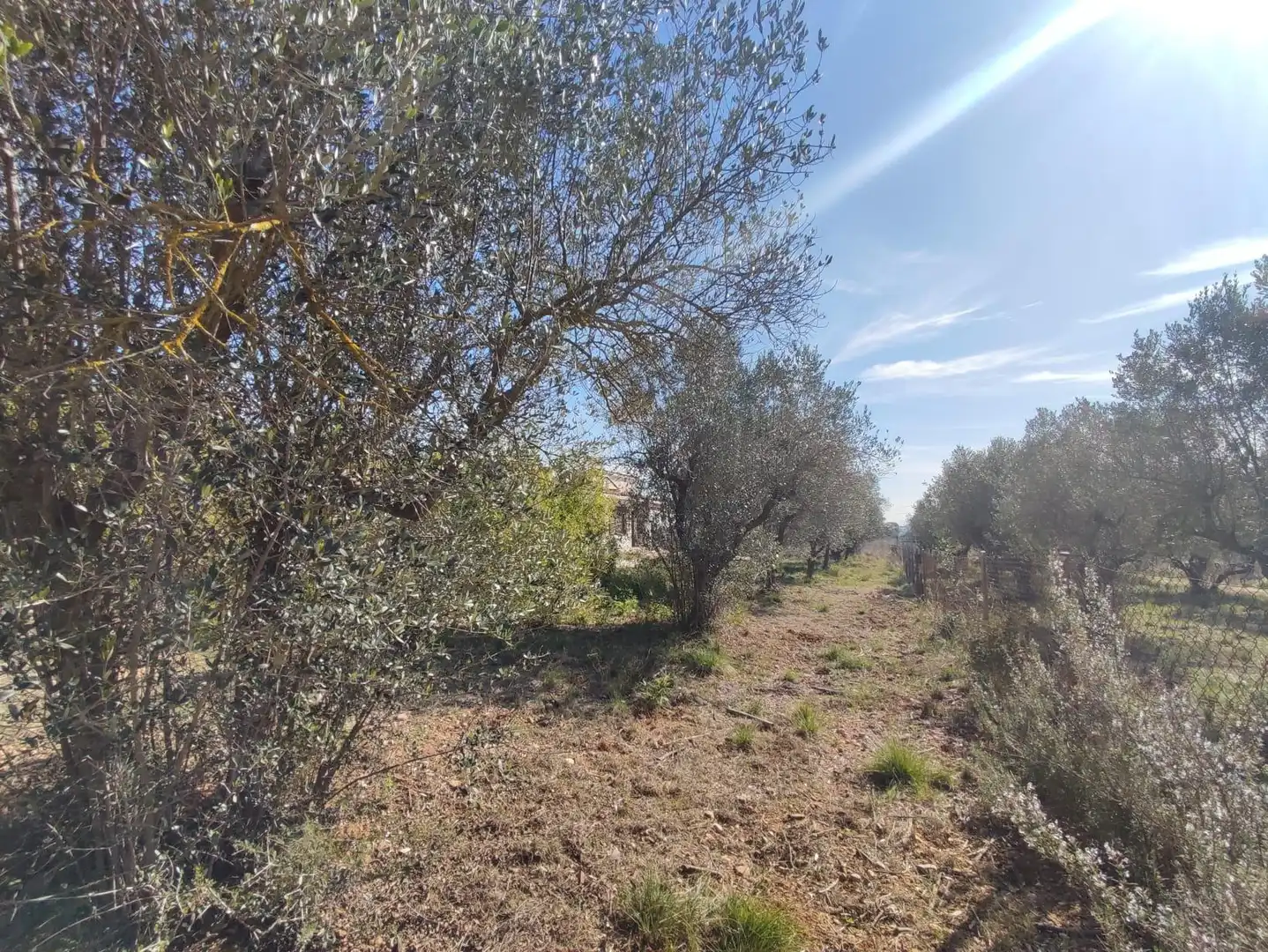 Country homes for sale in Collbató