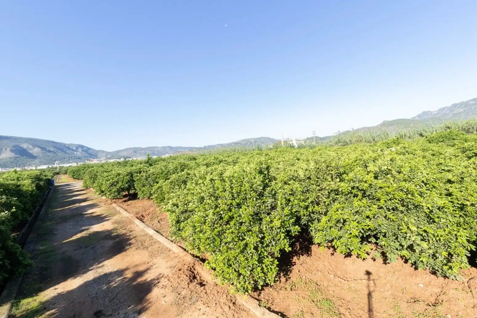 Terrain rustique à vendre à Benifairó de la Valldigna - HORTA, imagen 58