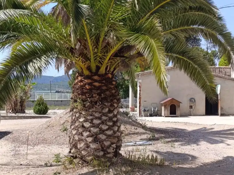 Exterior view of Houses for sale in Torrelles de Foix