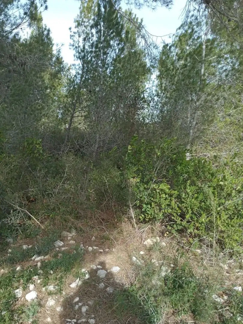 Residential for sale in Carrer Crisantem, 49, Costa Cunit - Els Jardins - Els Rosers