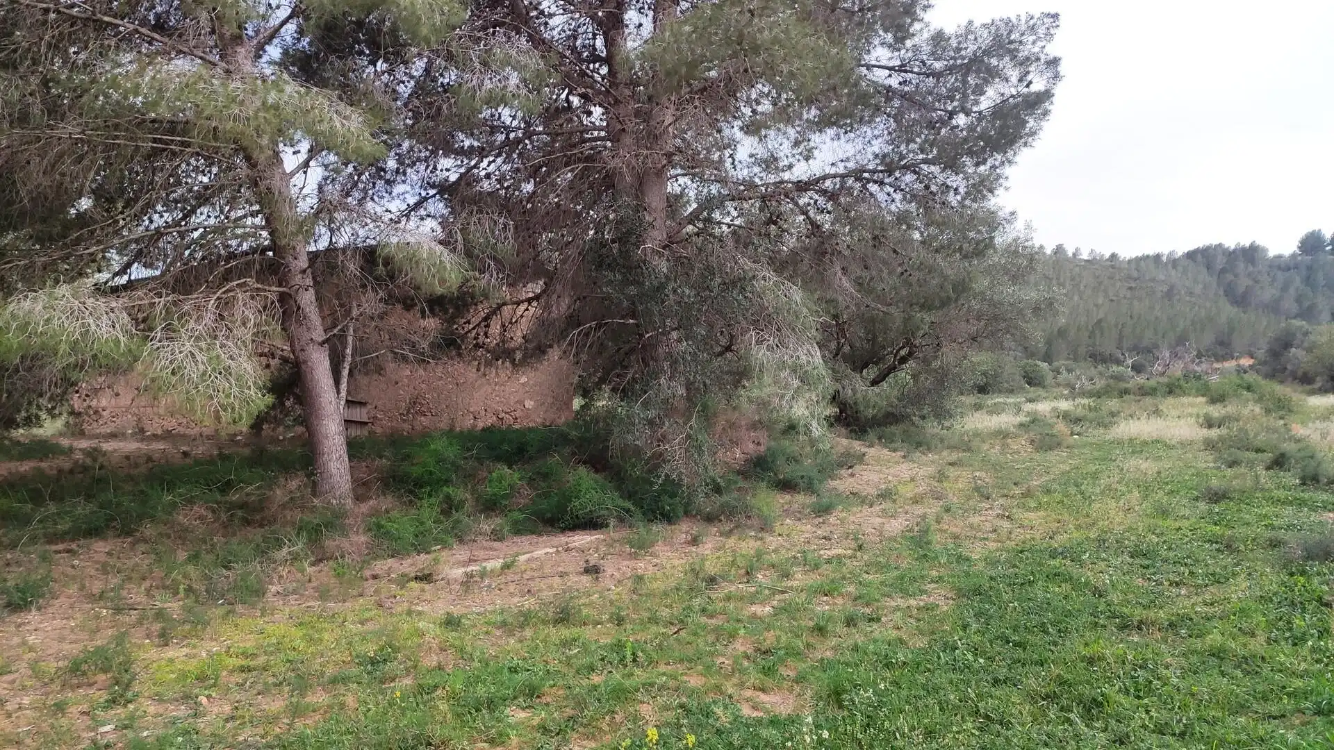 Finca rústica en venda en Xerta
