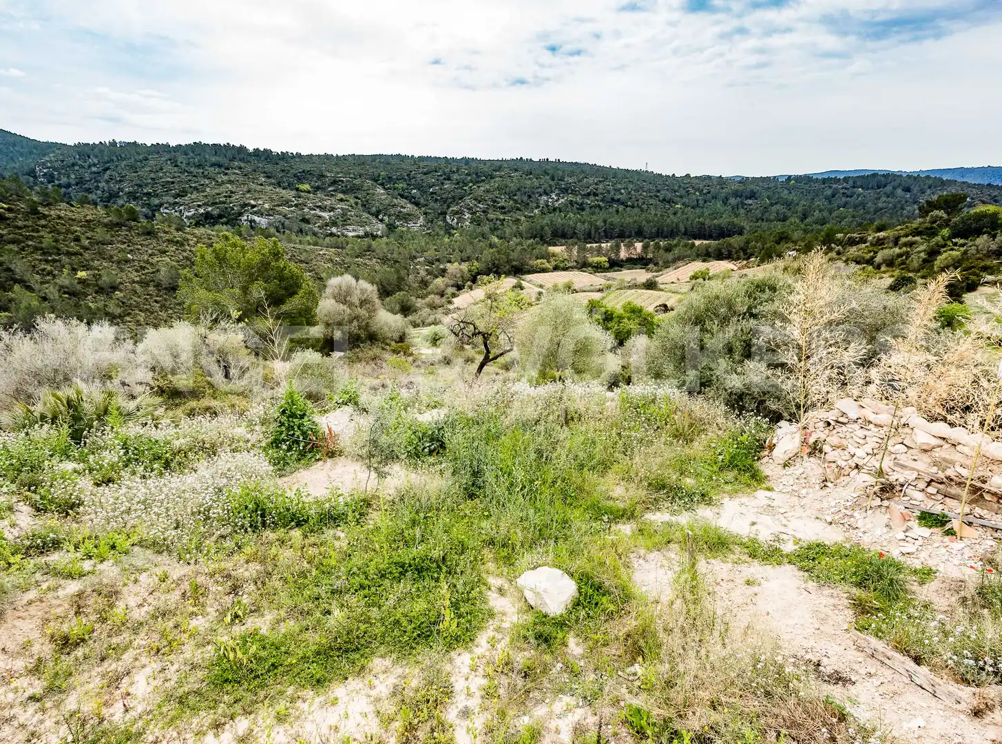 Casa o xalet en venda en Castellet i la Gornal amb Aire condicionat, Calefacció i Jardí privat
