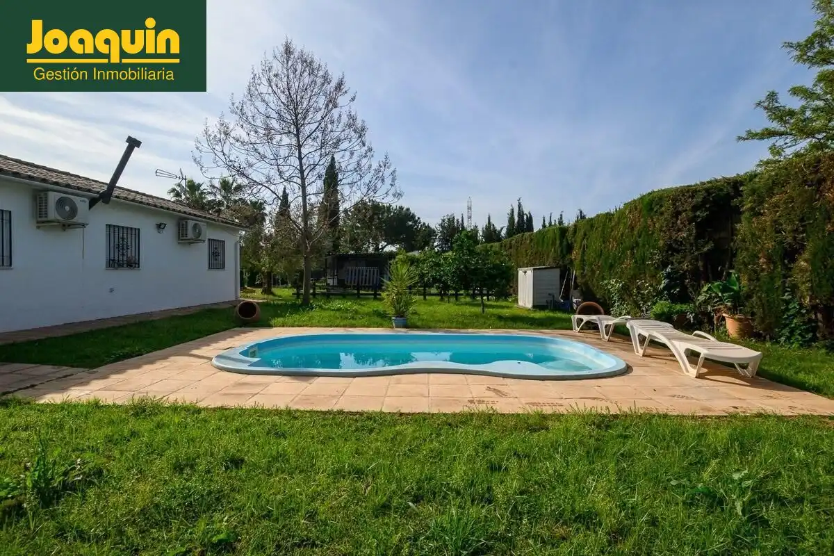 Piscina de Finca rústica en venda en Córdoba amb Piscina comunitària