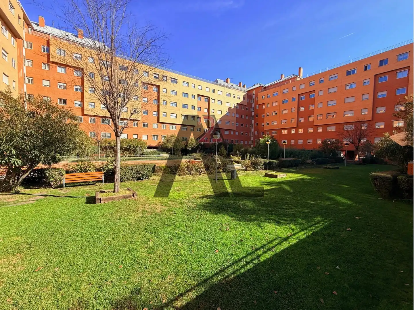 Jardí de Pis per a compartir en Madrid