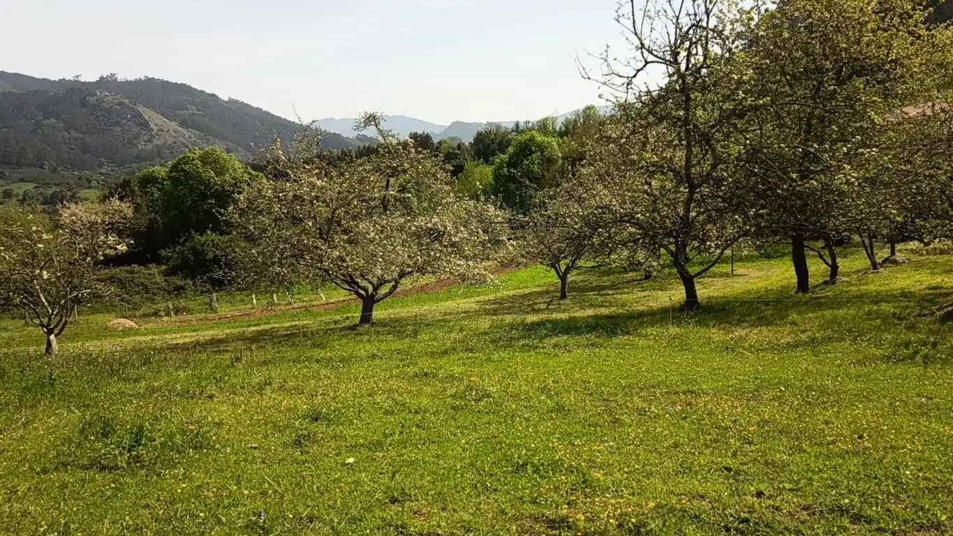 Terreno residencial en venta en AS-39, imagen 9
