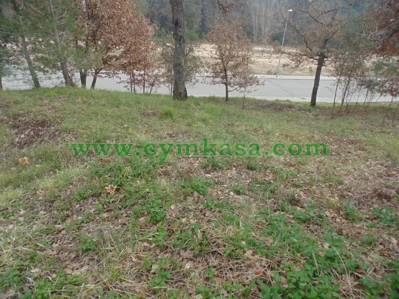 Rural land for sale in Sils, imagen 4
