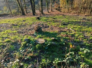 Wohnbaugrundstück zum Verkauf in Covelo