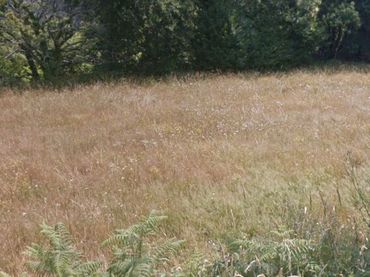 Terreno residenziale in vendita a Coirós