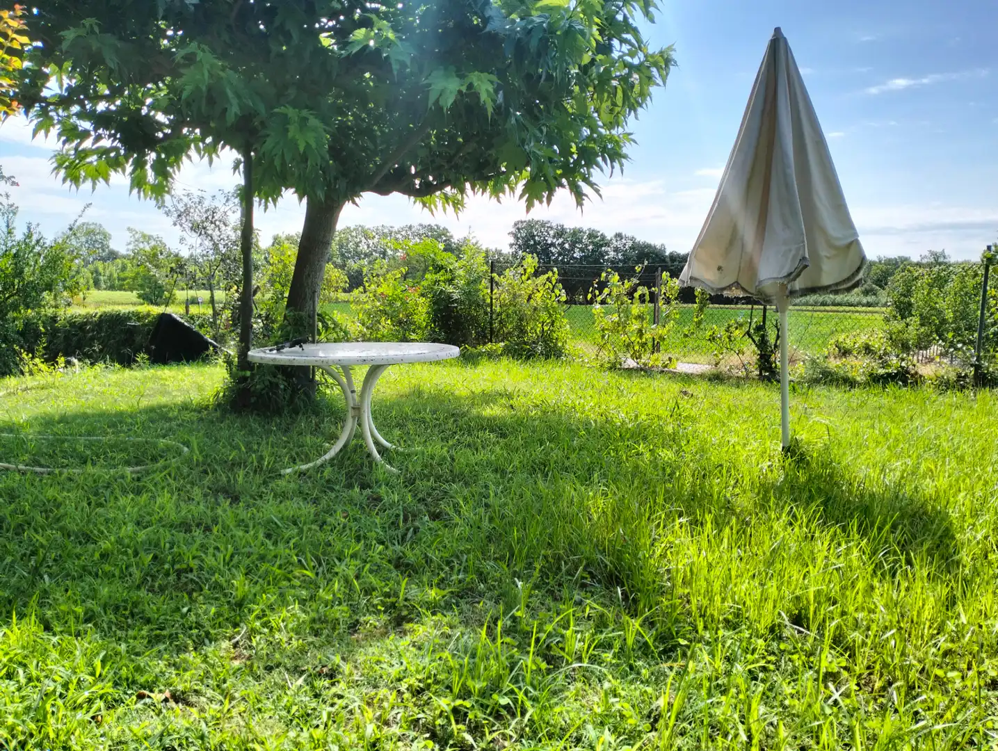 Jardí de Casa o xalet en venda en Cervià de Ter amb Jardí privat, Terrassa i Balcó