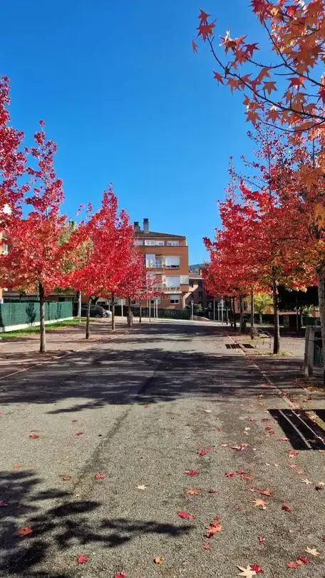Exterior view of Flat for sale in Lemoa, Bizkaia