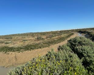 Land for sale in Chiclana de la Frontera