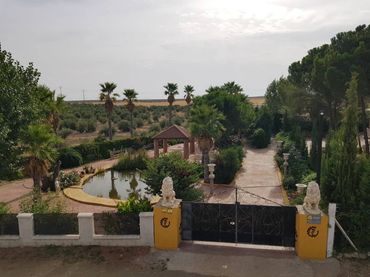 Terreno rustico in vendita a Calle Polígono 16 Parcela 23 EL TIRADERO 16